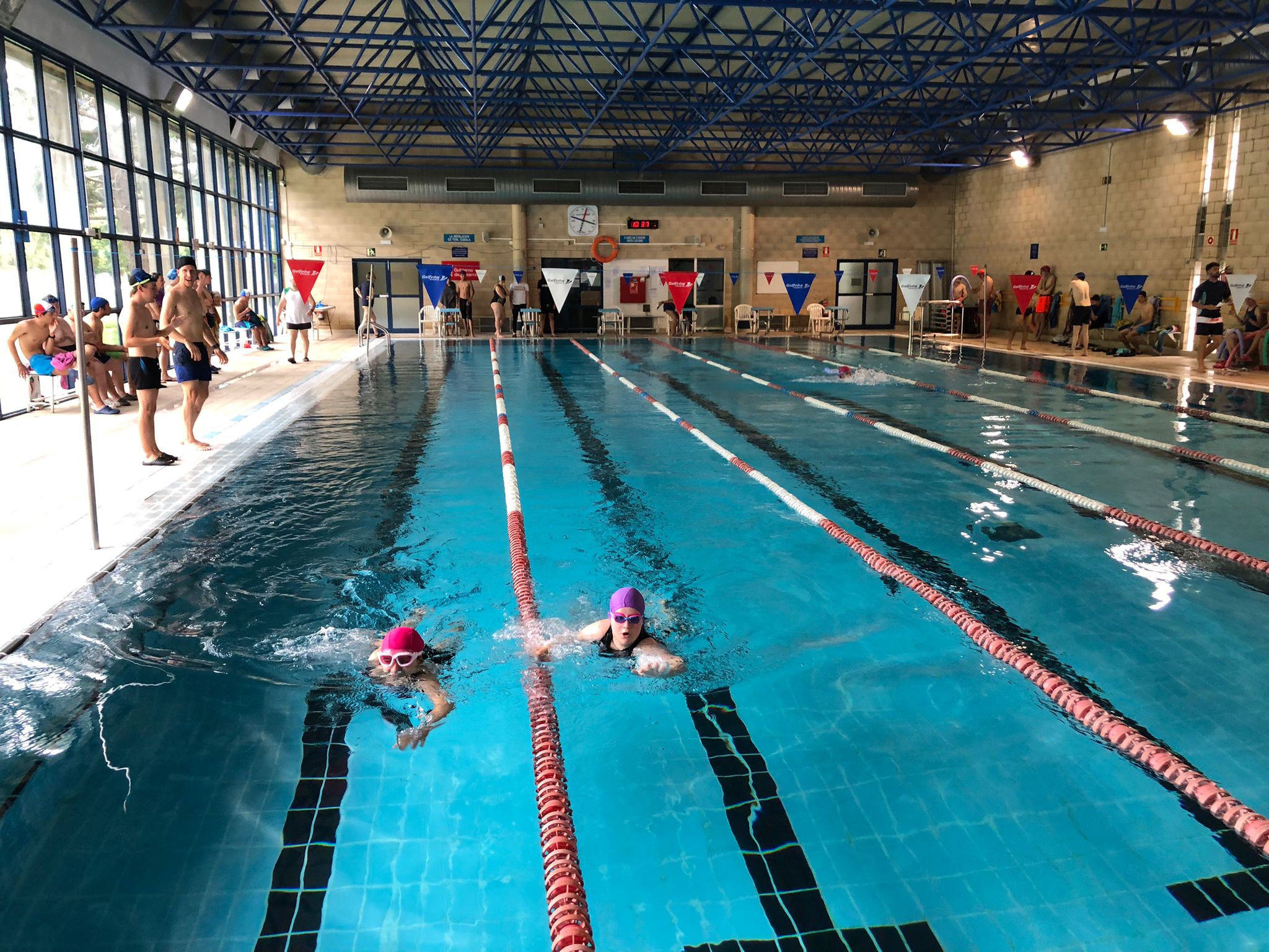 Resultados JDN Nataci&oacute;n infantil-j&uacute;nior y s&eacute;nior